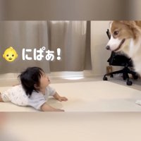 もう一度近くへ
