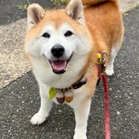 いつでも笑顔なまるちゃんでした♡