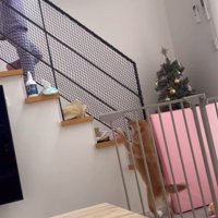 らむねちゃんとお姉ちゃんの再会6