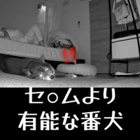 寝返りを打った時のミーシャちゃんの反応2
