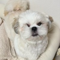 夢中