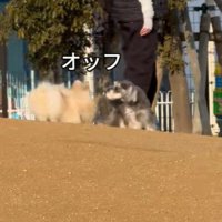 ちょっぴり気まずい…？