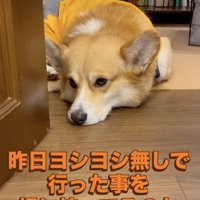 「今日こそは…」