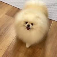 ポテチくんも笑顔でトコトコ…♪