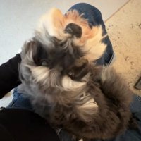 「なんか大丈夫そうだね」