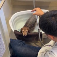 極上のリラックスタイム