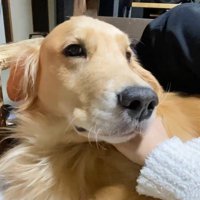 明らかに不満そうなお顔