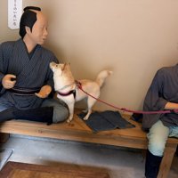 オヤツ