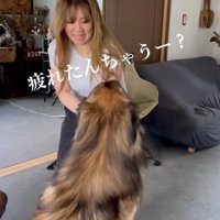 レオンベルガーに声をかけるお姉さん