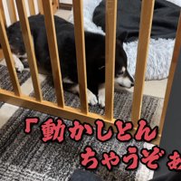足が動いたことに逆ギレ！！