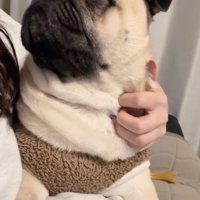 「しかも3人で！」