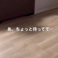 いなくなっちゃった…