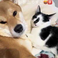 今でも変わらず添い寝