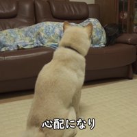ますます心配になって、しょんぼり…