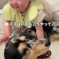 ママとパパの真似っ子♪