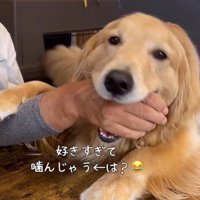 サンちゃんの熱烈歓迎9