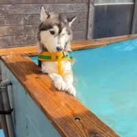 「楽しそうでいいなあ」