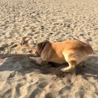 海辺でのハプニング