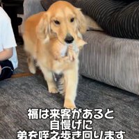 「うちの子可愛いでしょ？」