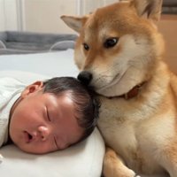 匂いのチェック中