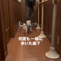 廊下で人に寄り添う犬