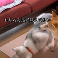 そのまま落下！！