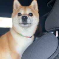飼い主さんのお母さんに会いたくて…