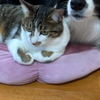 のんびり