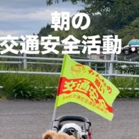 車椅子に交通安全の旗をつけて…