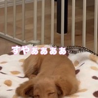 思わずウトウト