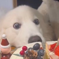 100点満点のリアクション！！