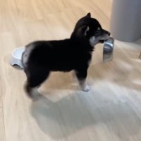 待ち切れない姿が可愛い♡