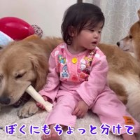 ガムのおかわりが欲しい…