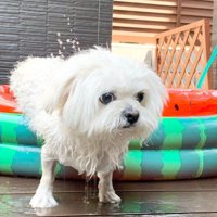 後悔と怒りに満ちて…