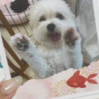 サロンを楽しんでいることが伝わる…