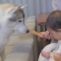 女性に支えられながら、おやつを右手に持つ赤ちゃん