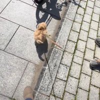 一気にご機嫌に