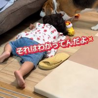 吠える犬