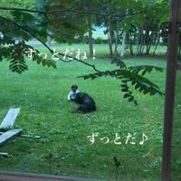 赤ちゃんと黒い犬3
