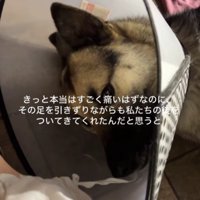 頑張って治療中！！