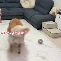 「帰ってきたよ！」