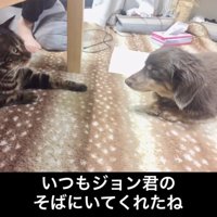 そっと寄り添います