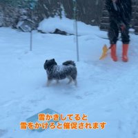 龍之介くんの雪遊び3