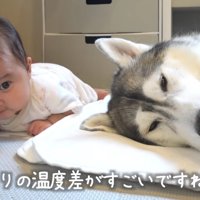 もうひとがんばり！！