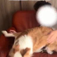 逃げられちゃった…
