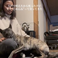 甘えるように体を寄せる犬