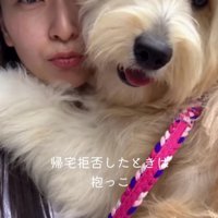 散歩中に女性に抱っこしてもらう子犬