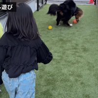 お庭でボール遊び開始