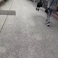 おじさんとお散歩中のルナちゃん5