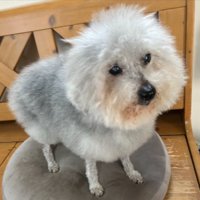ふわふわ